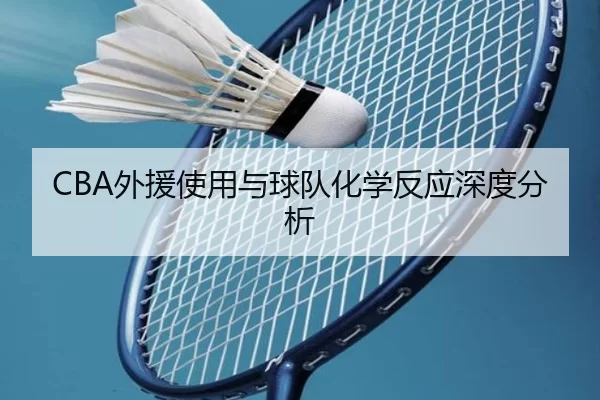 CBA外援使用与球队化学反应深度分析